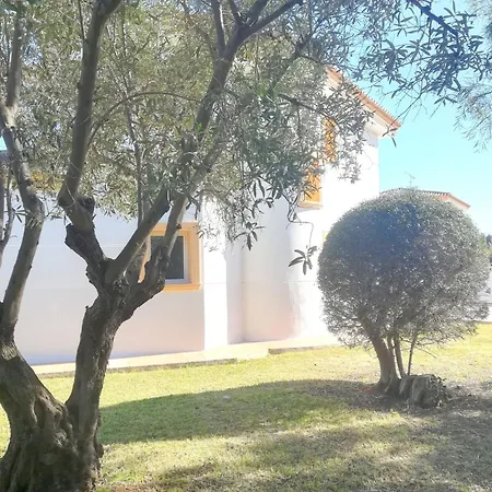 Noguera By Interhome *